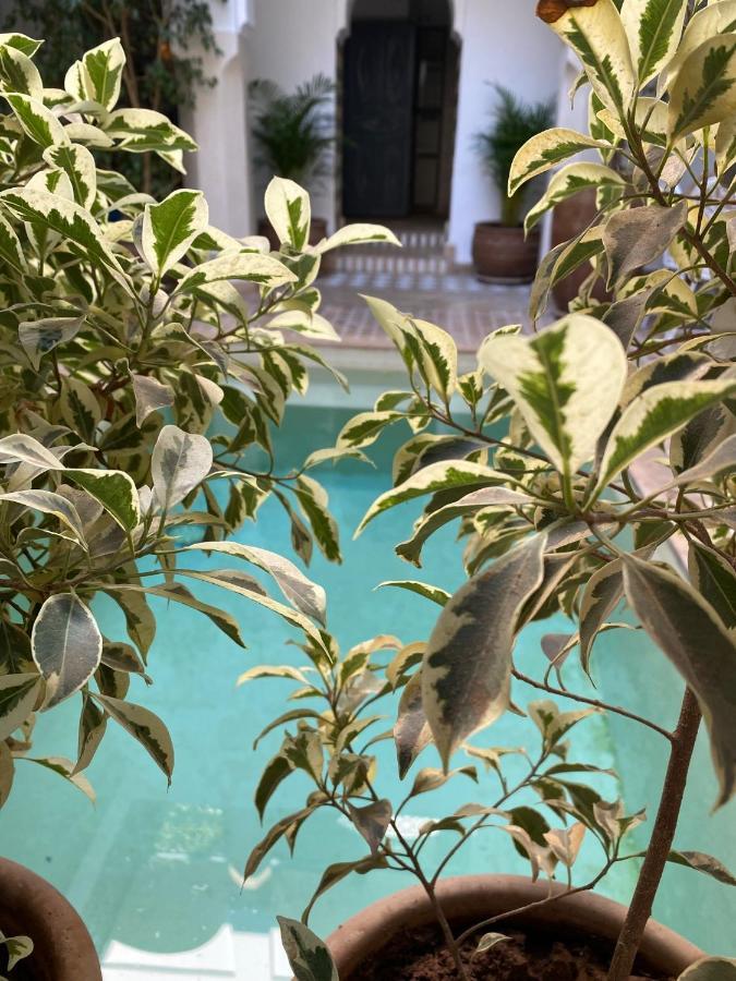 Riad Magellan Yoga And Spa Маракеш Екстериор снимка