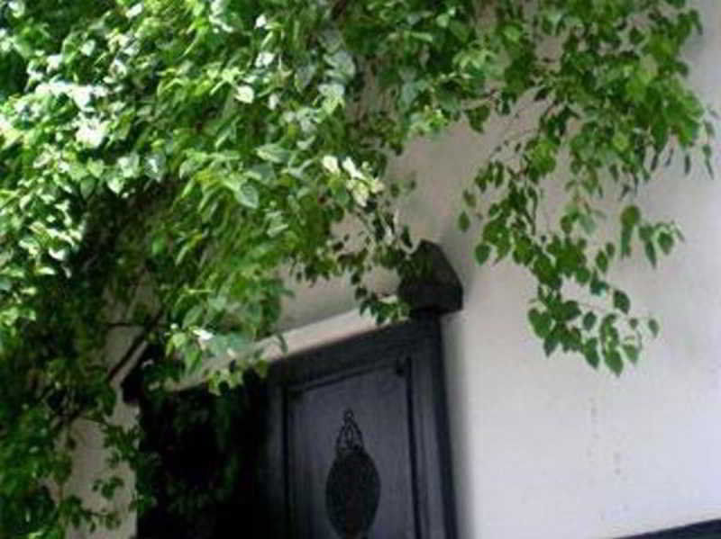 Riad Magellan Yoga And Spa Маракеш Екстериор снимка